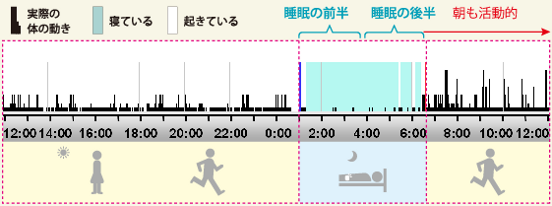 【グラフ】優秀な睡眠パターン