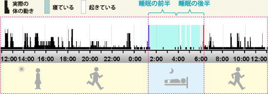 睡眠パターン
