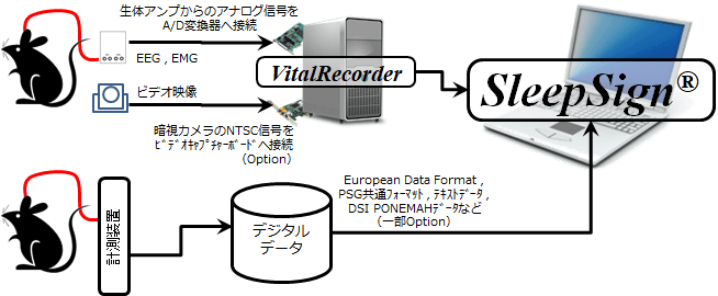 data input