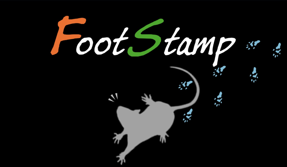 FootStamp