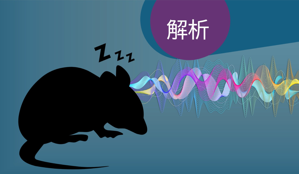 SleepSign